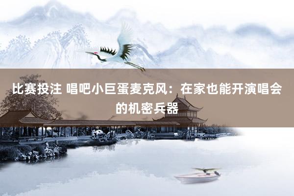比赛投注 唱吧小巨蛋麦克风：在家也能开演唱会的机密兵器