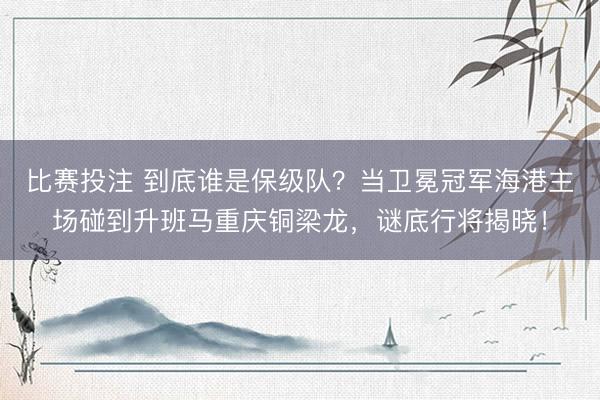 比赛投注 到底谁是保级队？当卫冕冠军海港主场碰到升班马重庆铜梁龙，谜底行将揭晓！